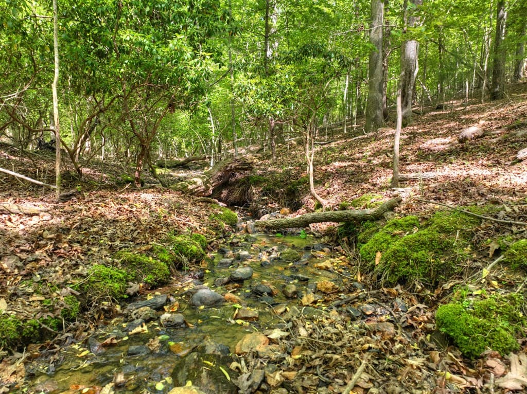 40 Cadet Court, Ellijay GA 30540 - Photo