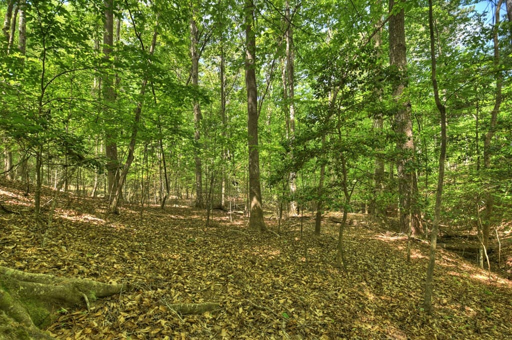 40 Cadet Court, Ellijay GA 30540 - Photo