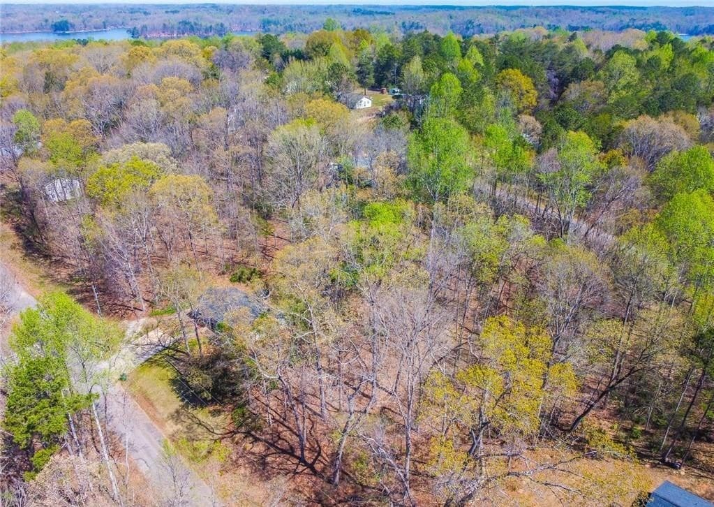 0 Arrow Lane, Lavonia GA 30553 - Photo