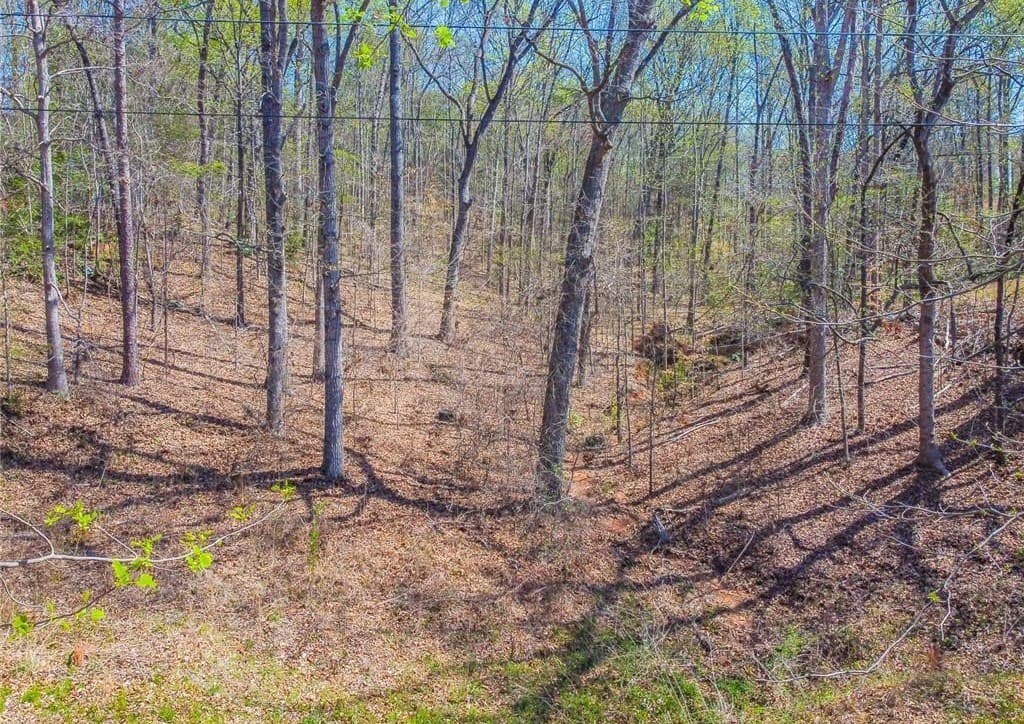 0 Arrow Lane, Lavonia GA 30553 - Photo