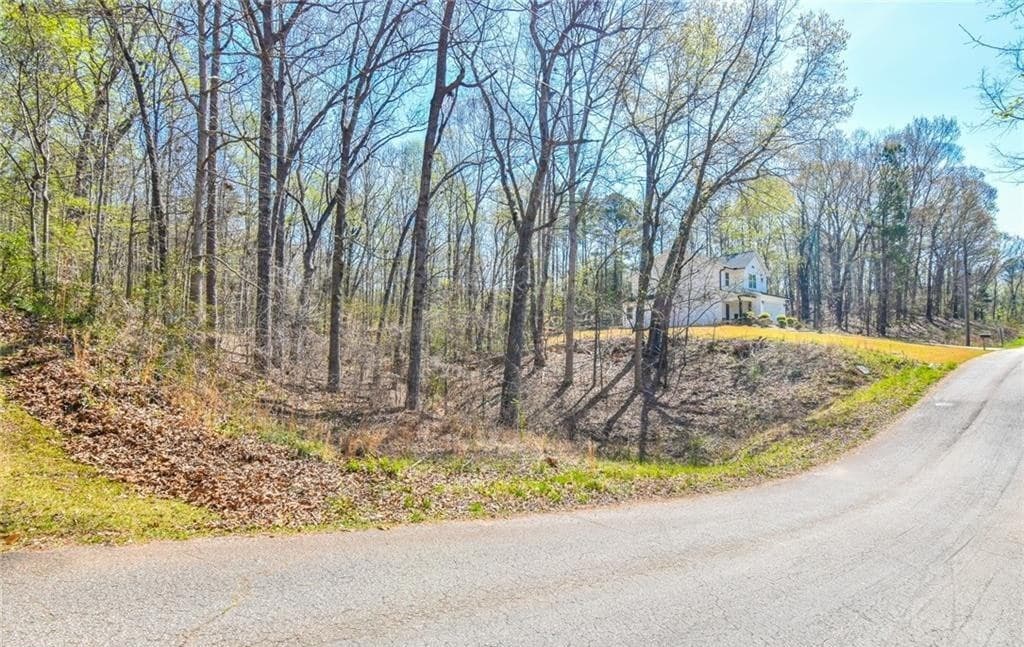 0 Arrow Lane, Lavonia GA 30553 - Photo