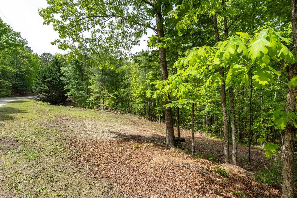 9 Settlers Crossing Way, Murphy NC 28906 - Photo