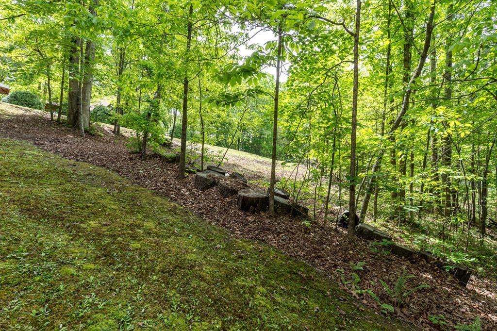 9 Settlers Crossing Way, Murphy NC 28906 - Photo