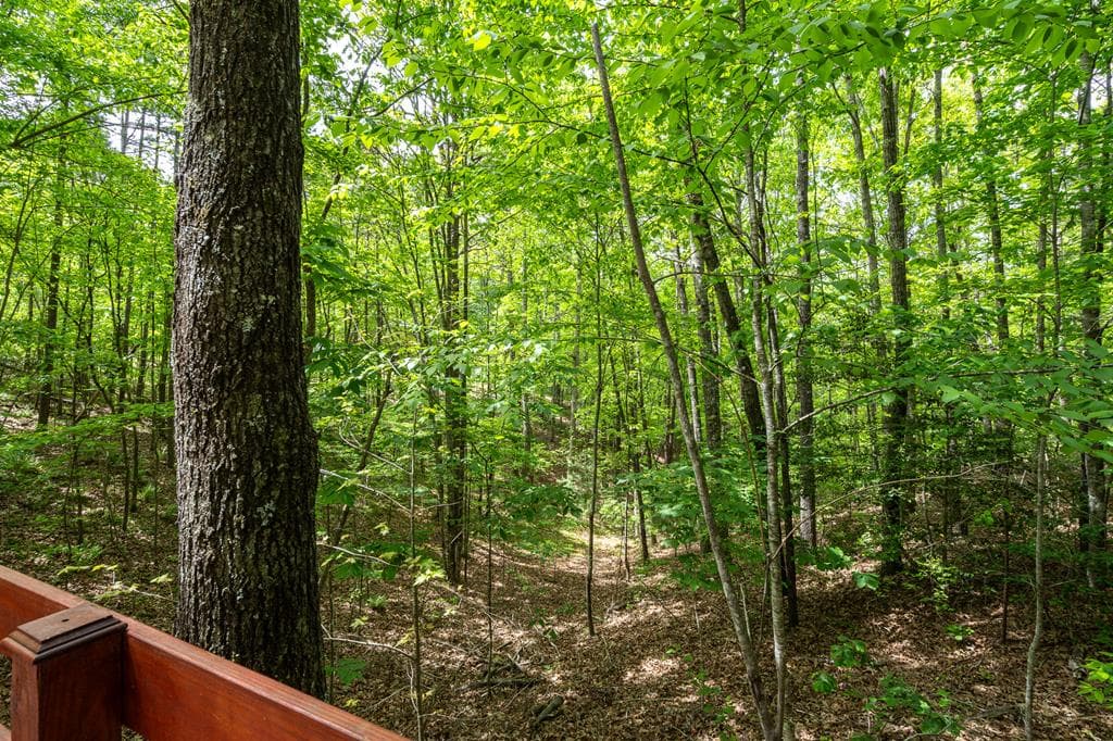 9 Settlers Crossing Way, Murphy NC 28906 - Photo