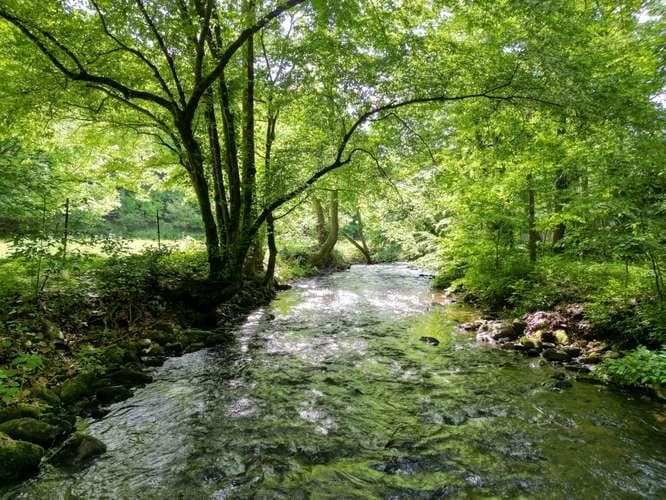89 Eagle Fork Valley, Hayesville NC 28904 - Photo