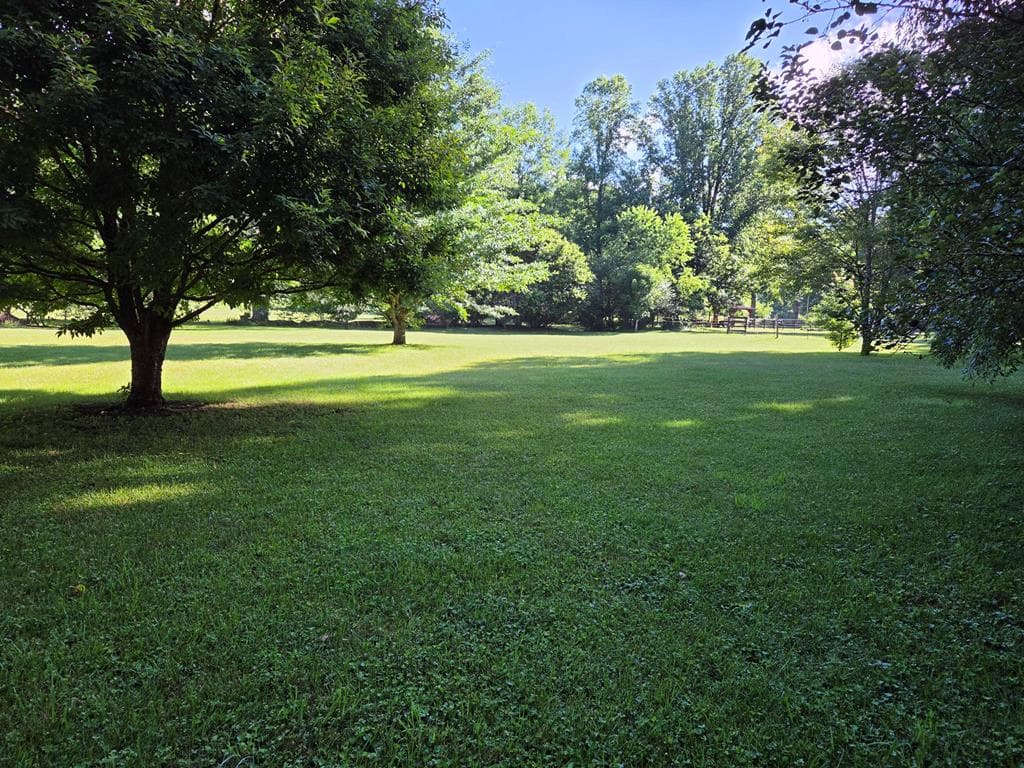 89 Eagle Fork Valley, Hayesville NC 28904 - Photo