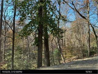 292 Nemos Drive, Ellijay GA 30540 - Primary photo