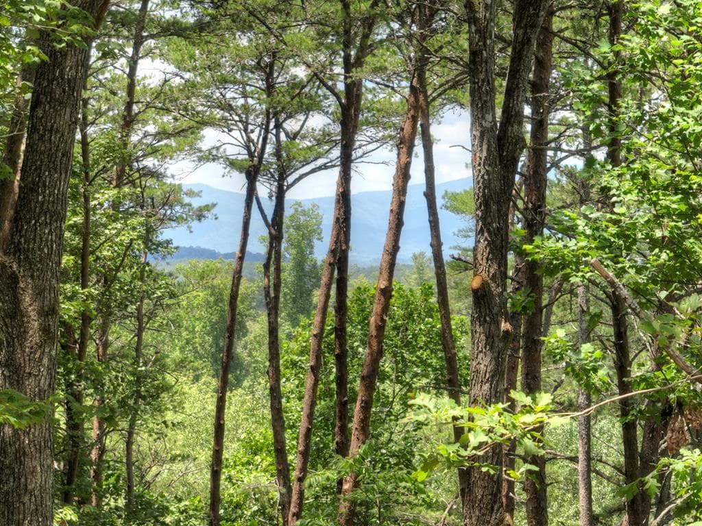58 Whitetail Holw, Morganton GA 30560 - Photo