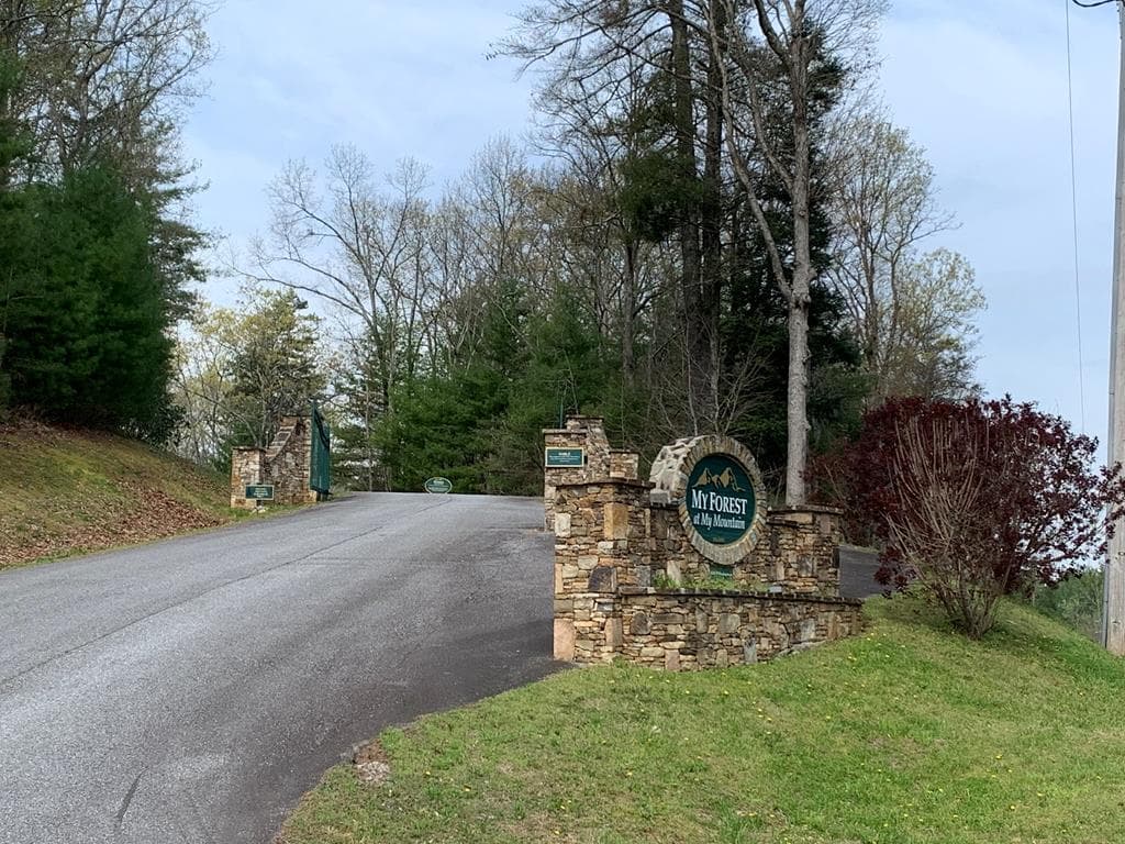 58 Whitetail Holw, Morganton GA 30560 - Photo
