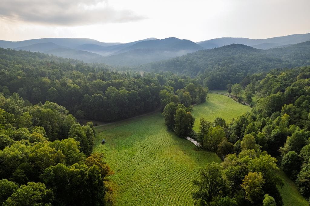 228 Holly Branch Drive, Ellijay GA 30540 - Photo