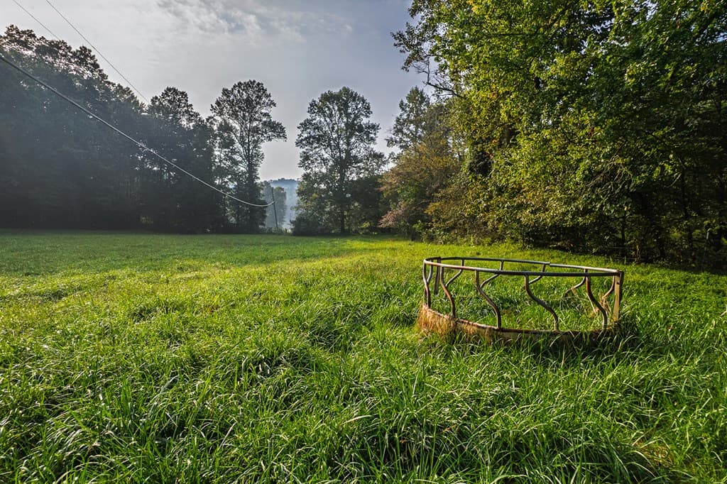 228 Holly Branch Drive, Ellijay GA 30540 - Photo