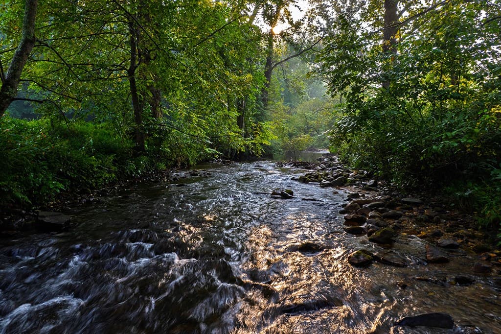 228 Holly Branch Drive, Ellijay GA 30540 - Photo