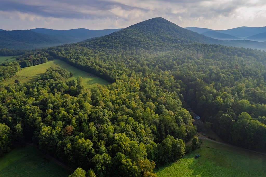 228 Holly Branch Drive, Ellijay GA 30540 - Photo