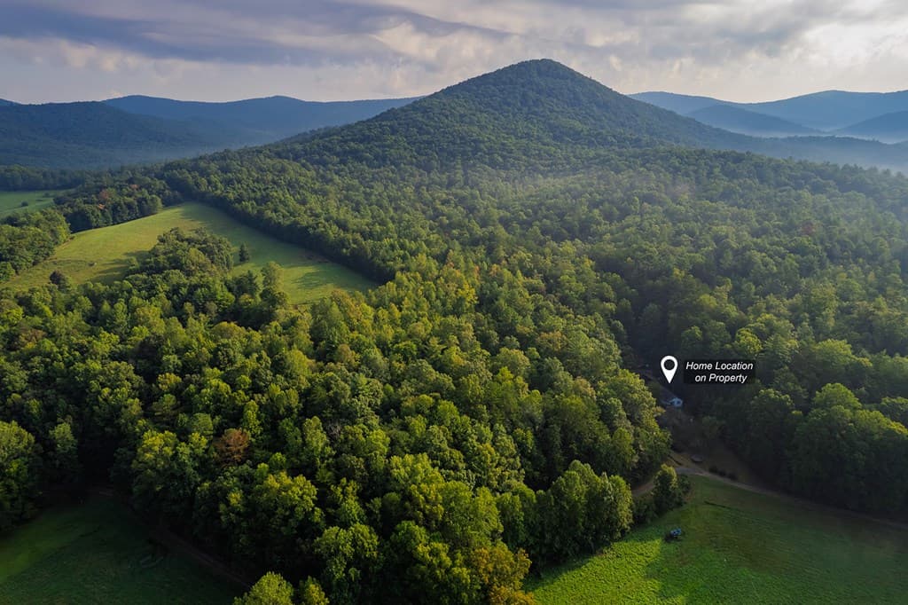 228 Holly Branch Drive, Ellijay GA 30540 - Photo