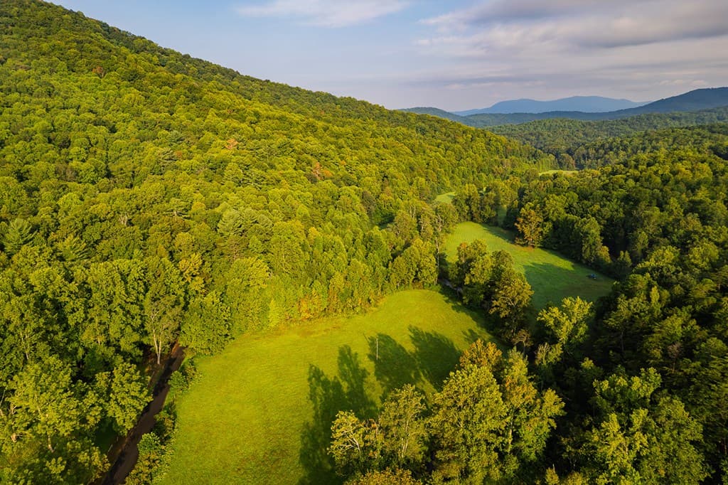 228 Holly Branch Drive, Ellijay GA 30540 - Photo