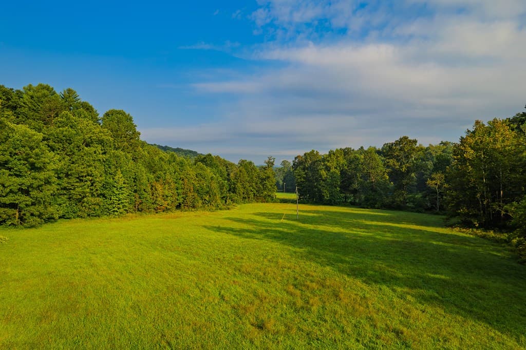 228 Holly Branch Drive, Ellijay GA 30540 - Photo