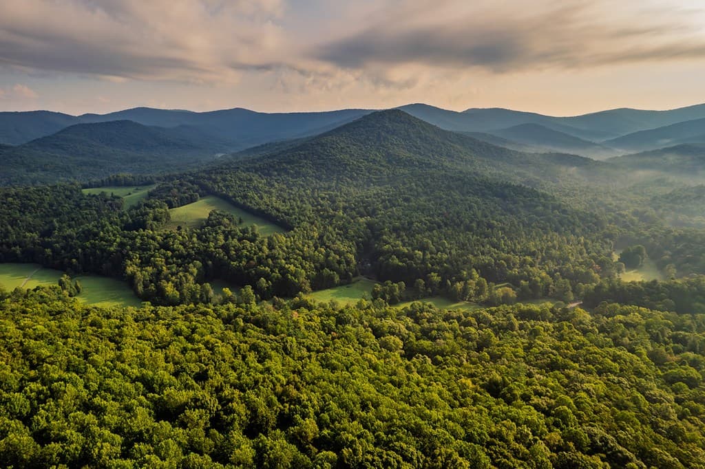 228 Holly Branch Drive, Ellijay GA 30540 - Photo