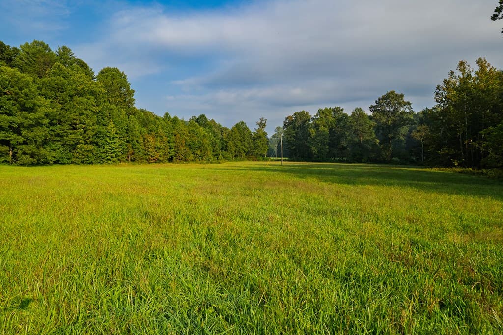 228 Holly Branch Drive, Ellijay GA 30540 - Photo