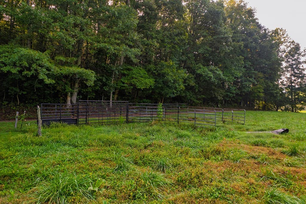 228 Holly Branch Drive, Ellijay GA 30540 - Photo