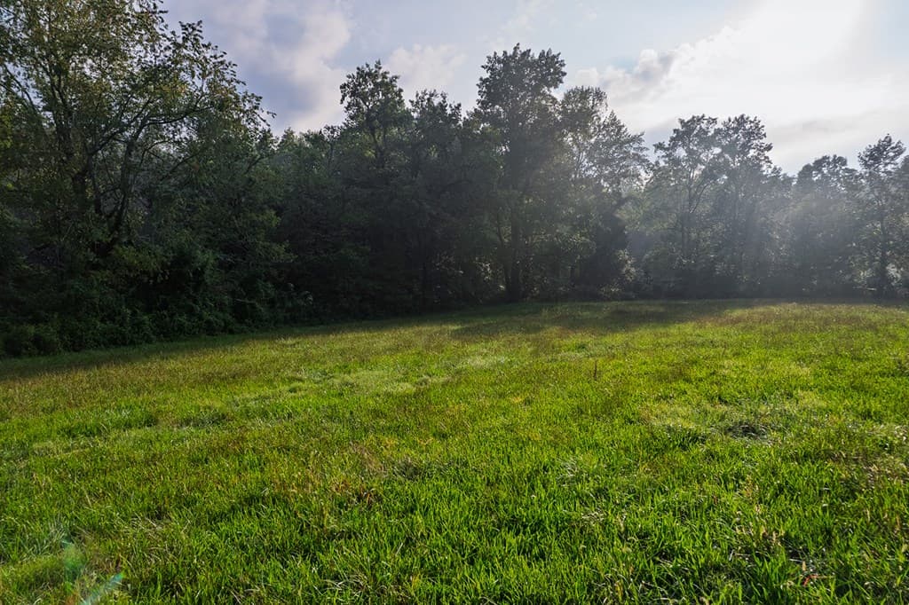 228 Holly Branch Drive, Ellijay GA 30540 - Photo