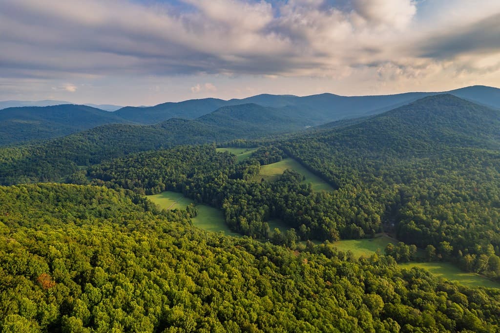 228 Holly Branch Drive, Ellijay GA 30540 - Photo