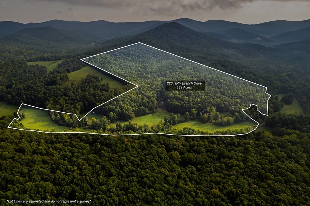 228 Holly Branch Drive, Ellijay GA 30540 - Photo