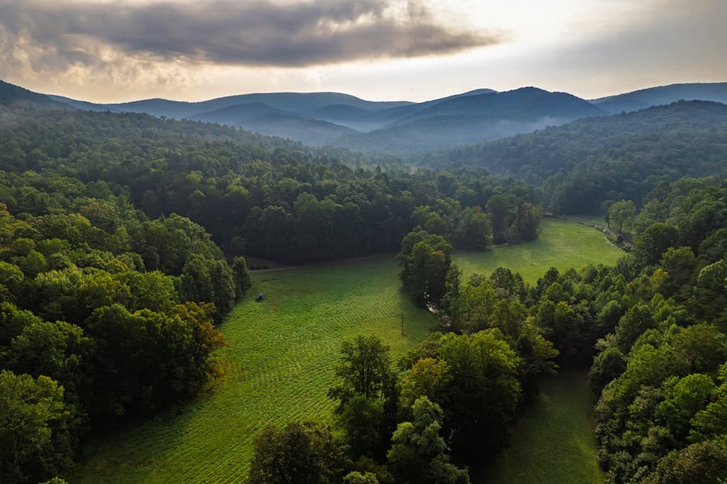 228 Holly Branch Drive, Ellijay GA 30540 - Photo