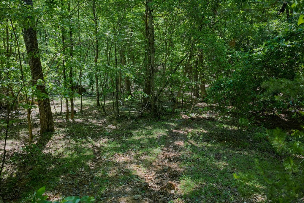 0 Mulberry Circle, Jasper GA 30143 - Photo
