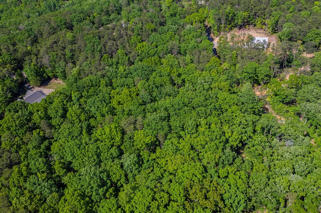 0 Mulberry Circle, Jasper GA 30143 - Photo