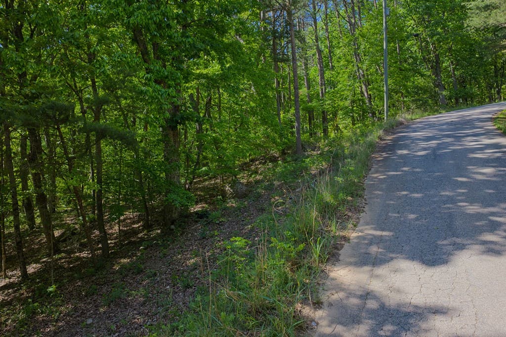 0 Mulberry Circle, Jasper GA 30143 - Photo