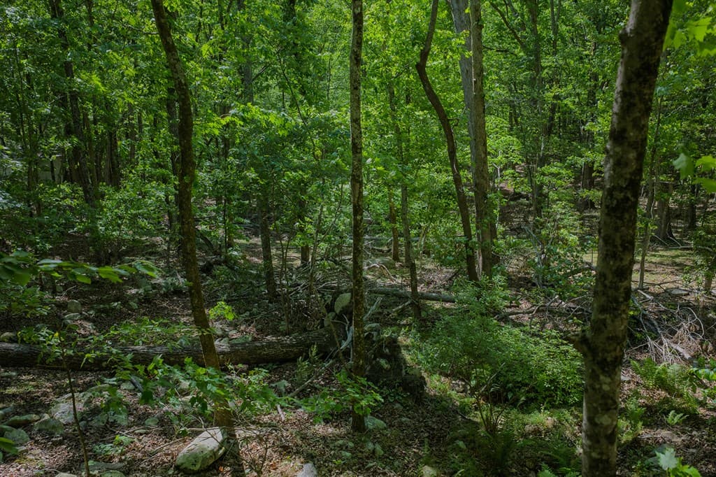 0 Mulberry Circle, Jasper GA 30143 - Photo