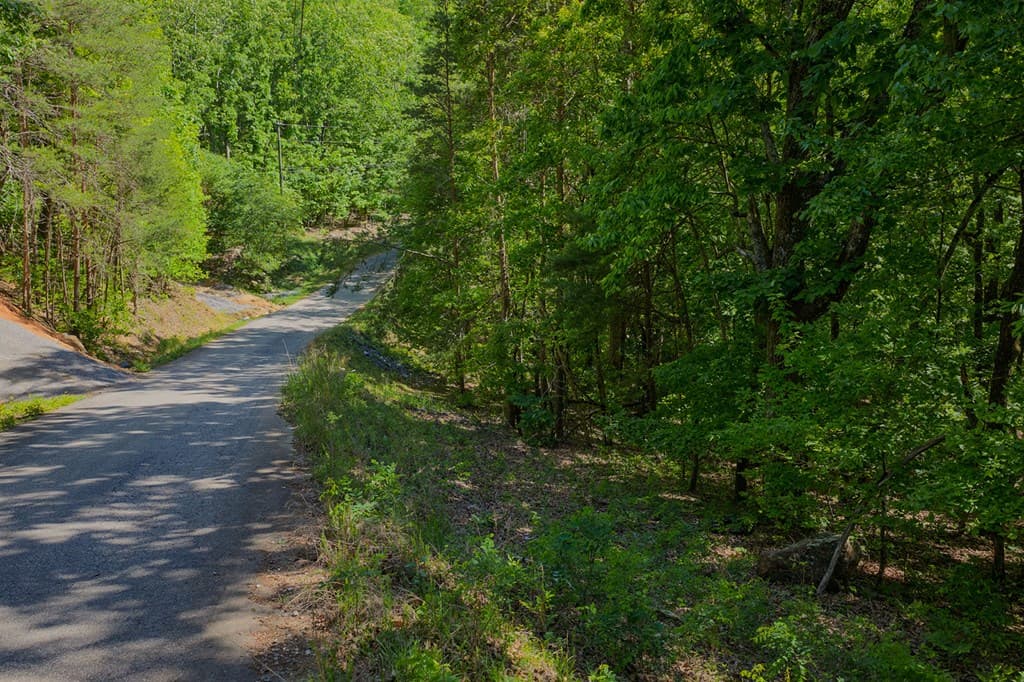 0 Mulberry Circle, Jasper GA 30143 - Photo
