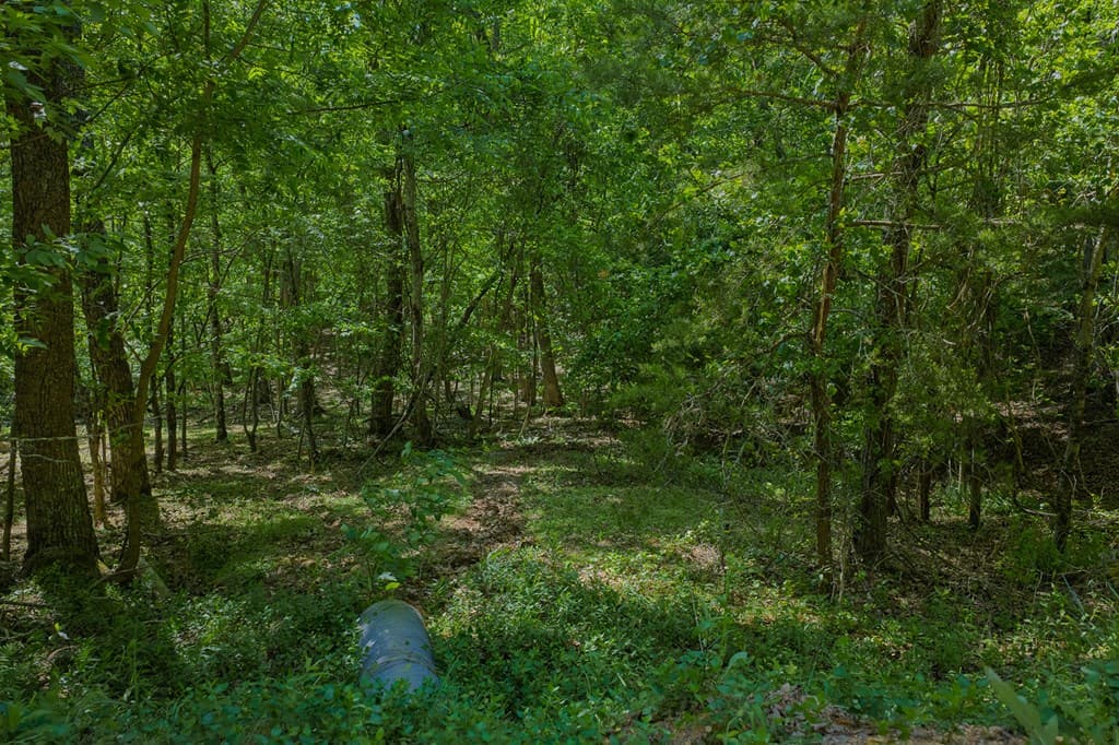 0 Mulberry Circle, Jasper GA 30143 - Photo