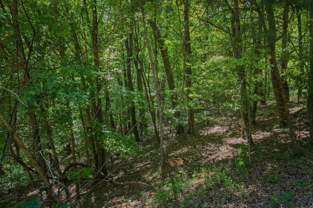0 Mulberry Circle, Jasper GA 30143 - Photo