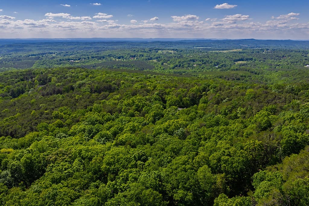 0 Mulberry Circle, Jasper GA 30143 - Photo