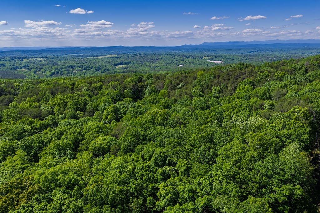 0 Mulberry Circle, Jasper GA 30143 - Photo