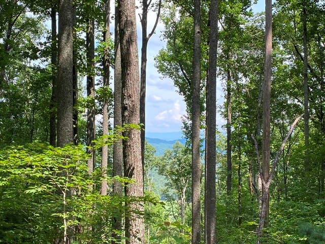 Lot 1 High Country Lane, Morganton GA 30560 - Photo