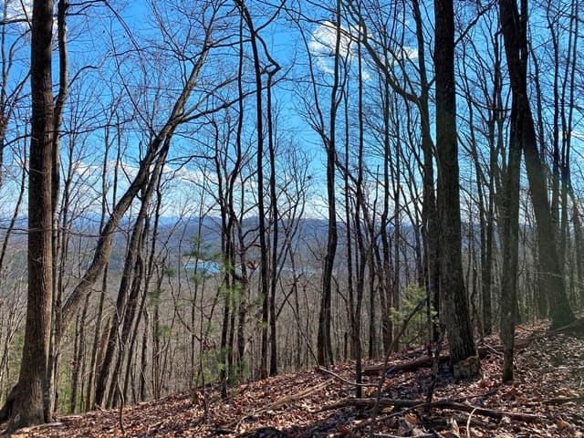 Lot 1 High Country Lane, Morganton GA 30560 - Photo