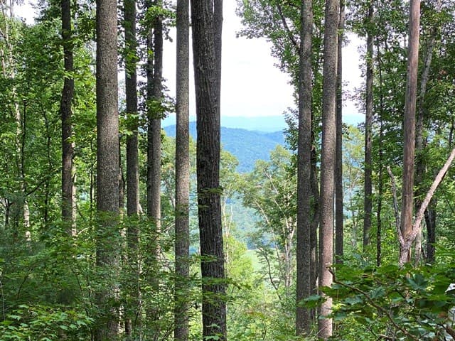 Lot 1 High Country Lane, Morganton GA 30560 - Photo