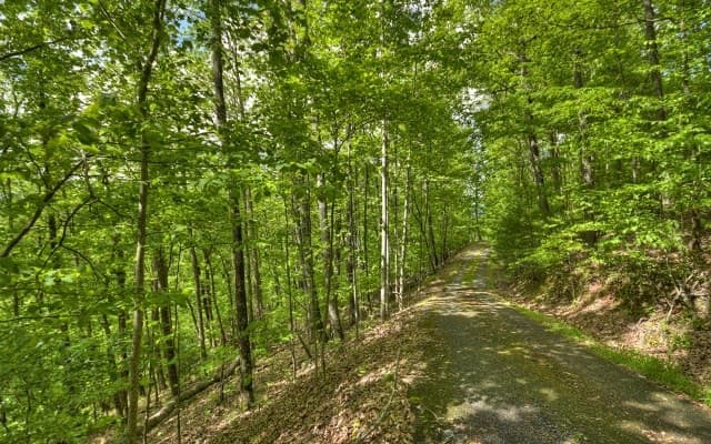 Lot 1 High Country Lane, Morganton GA 30560 - Photo