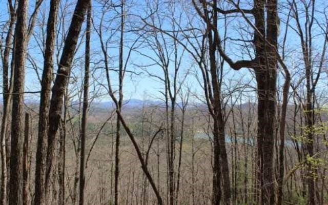 Lot 1 High Country Lane, Morganton GA 30560 - Photo