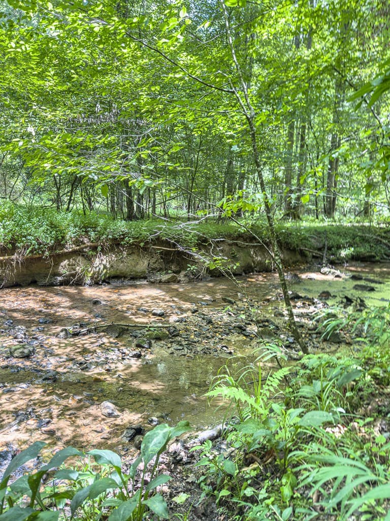 89 Box Turtle Lane, Murphy NC 28906 - Photo