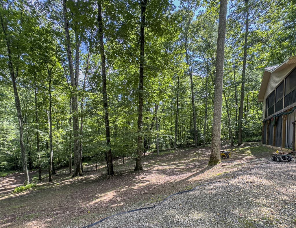 89 Box Turtle Lane, Murphy NC 28906 - Photo