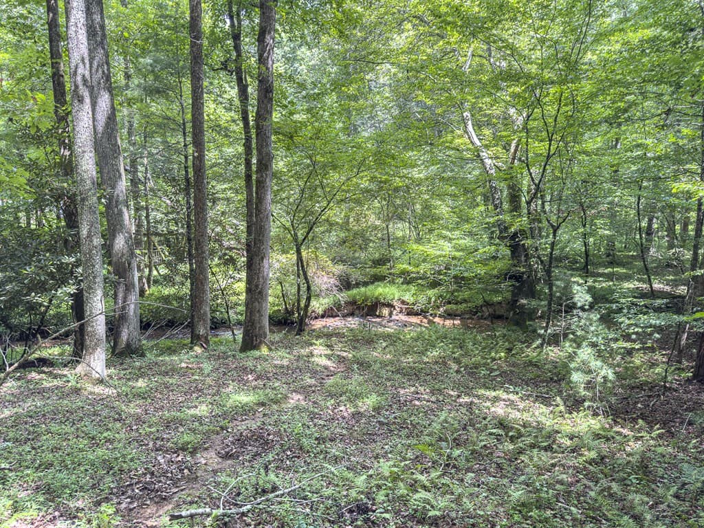 89 Box Turtle Lane, Murphy NC 28906 - Photo