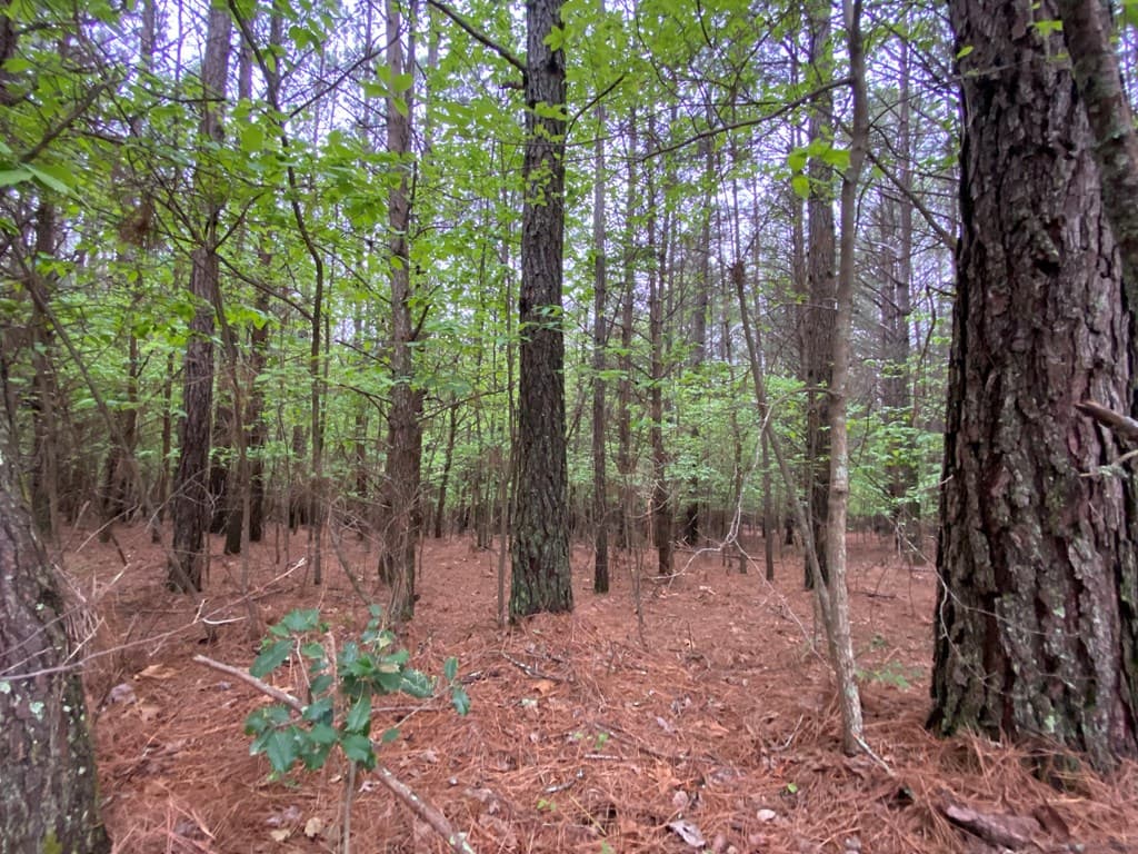 0 Mull Drive, Mineral Bluff GA 30559 - Photo