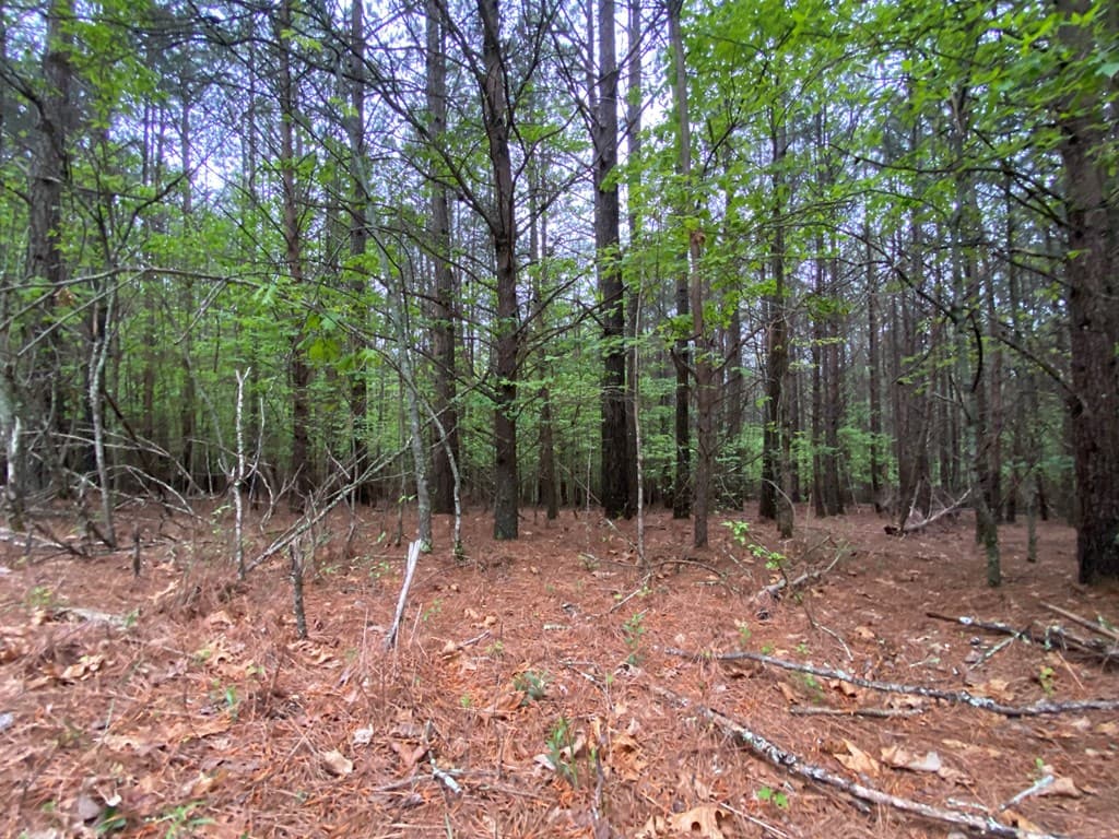 0 Mull Drive, Mineral Bluff GA 30559 - Photo