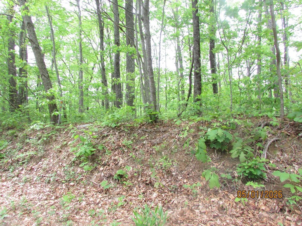 0 Taylor Knob Drive, Hayesville NC 28904 - Photo