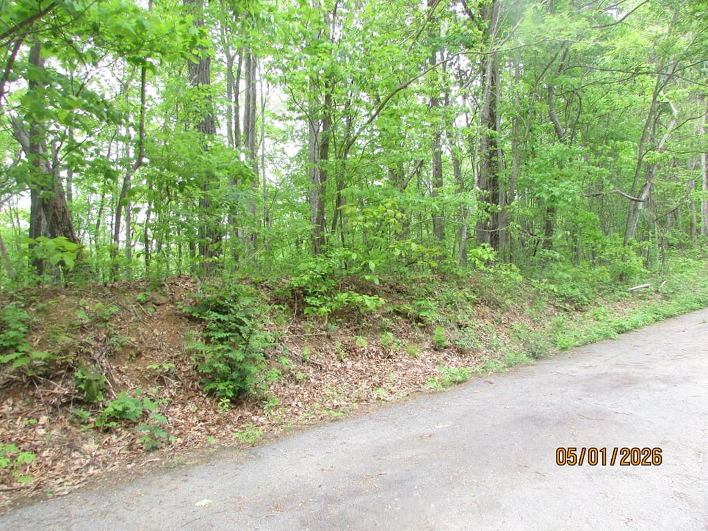 0 Taylor Knob Drive, Hayesville NC 28904 - Photo