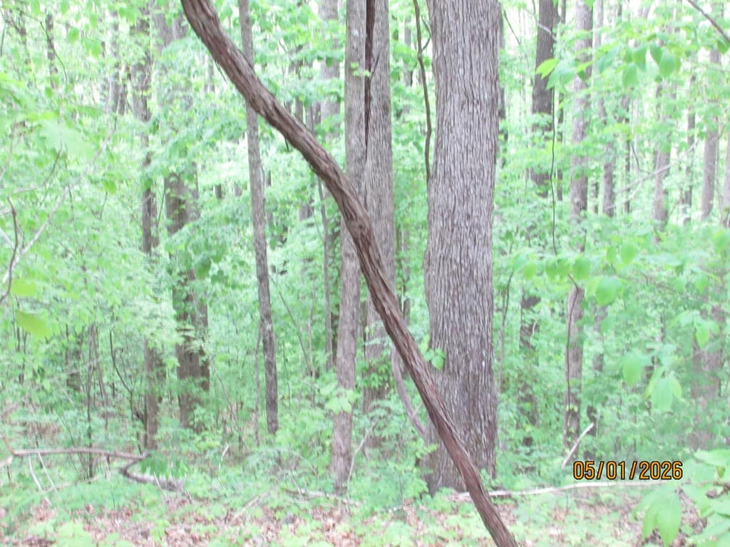 0 Taylor Knob Drive, Hayesville NC 28904 - Photo