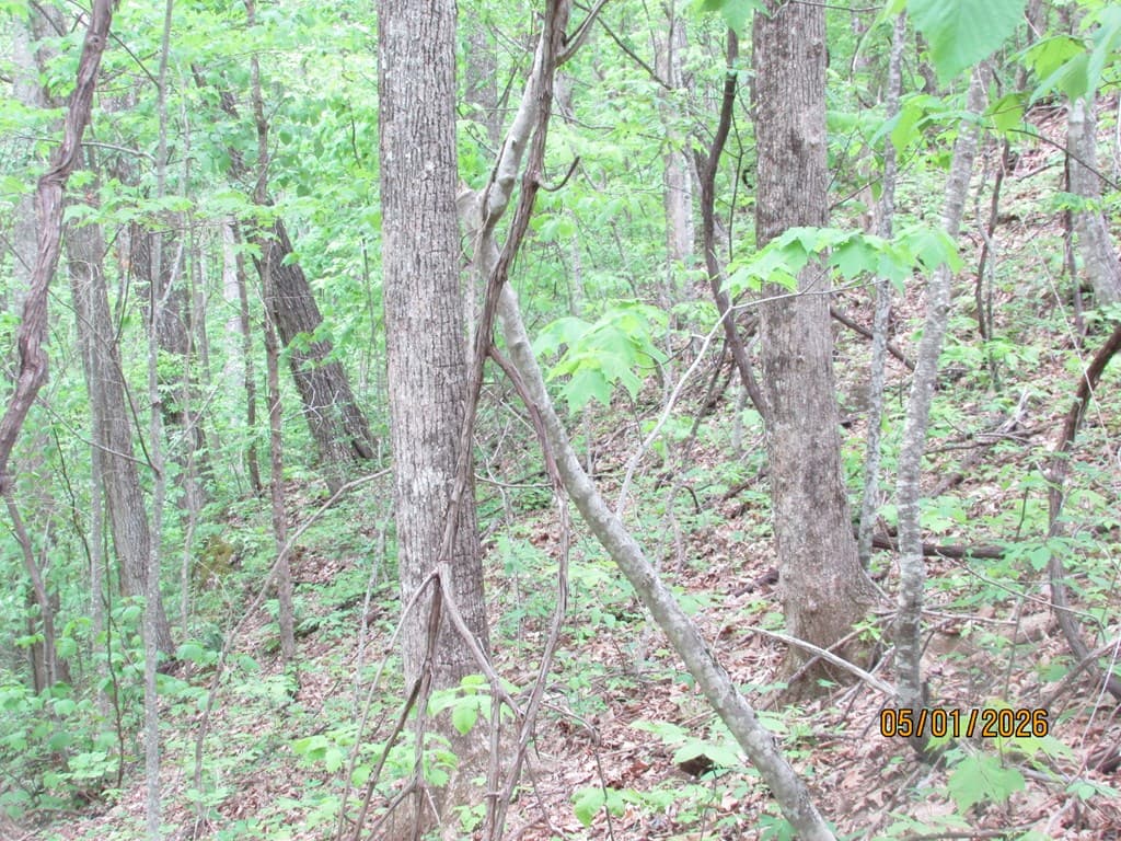 0 Taylor Knob Drive, Hayesville NC 28904 - Photo